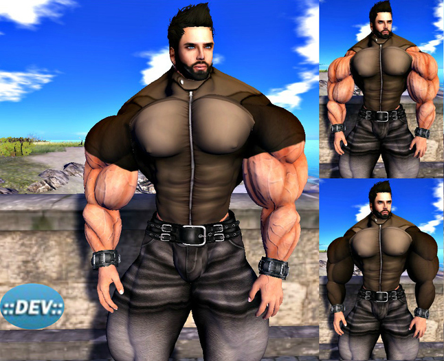 [D.Cavalieri] - Brown Zip Shirts