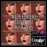 CB~Cougar Full MU (BOX) FatPack Group A