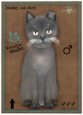 KittyCatS Box - Tonkinese - Blue Mink Tortie