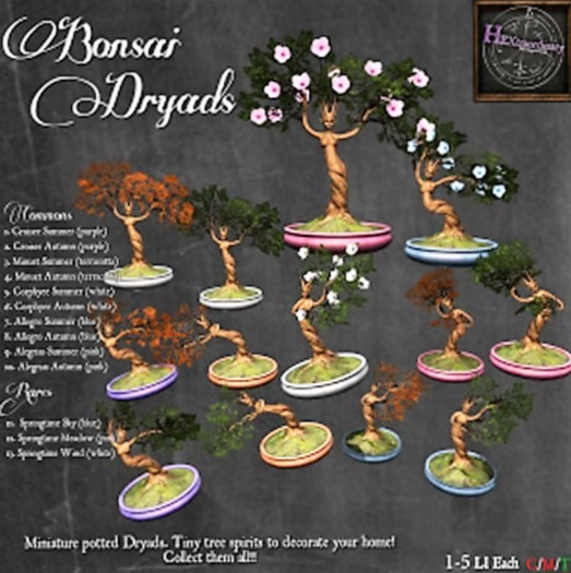 *HEXtraordinary* Bonsai Dryad - Rainbow Blossom