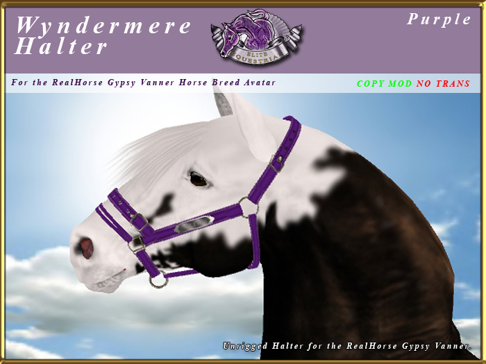 *E* Wyndermere Halter [BOXED] RH Gypsy Vanner Purple