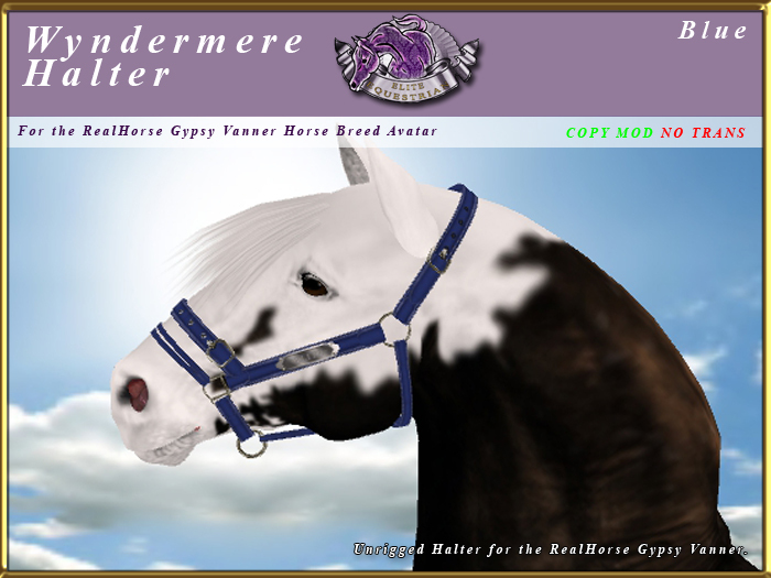 *E* Wyndermere Halter [BOXED] RH Gypsy Vanner Blue