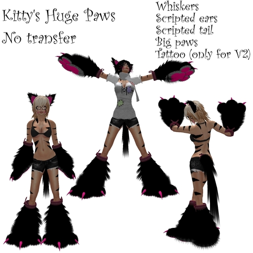 kitty's huge paws