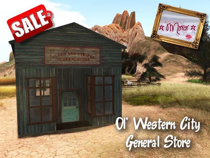 ::::  BTM  :::: Ol' Western City - General Store C/M/NT