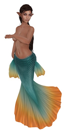 Hawaii [Yabusaka Betta]