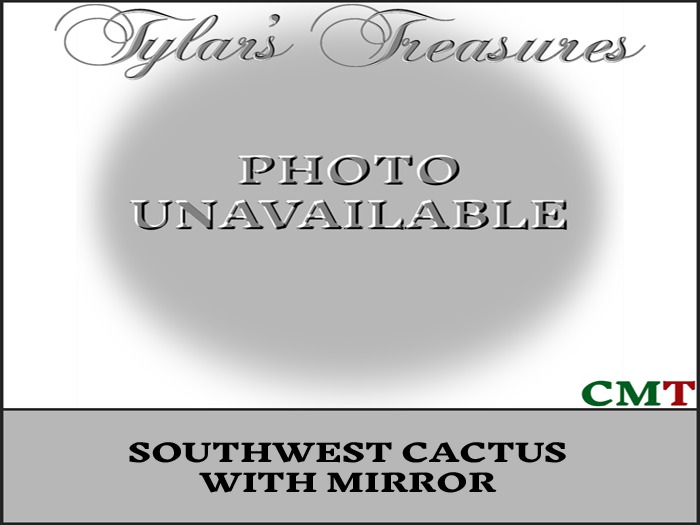 .:TT:.  SOUTHWEST CACTUS WITH MIRROR  BOX