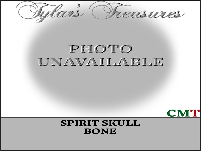 .:TT:.  SPIRIT SKULL BONE  BOX