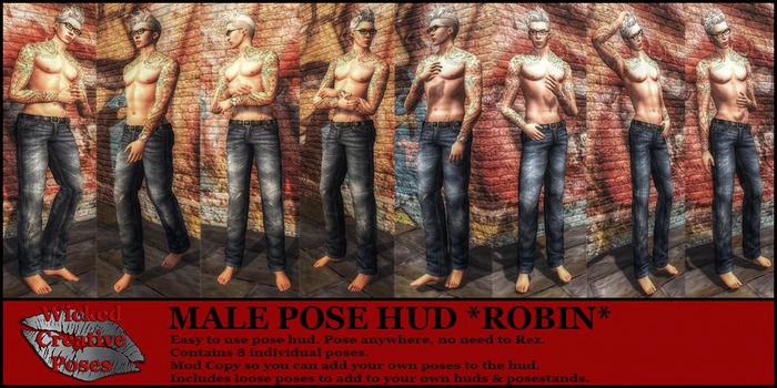 WCP  MALE POSE HUD * ROBIN* V2