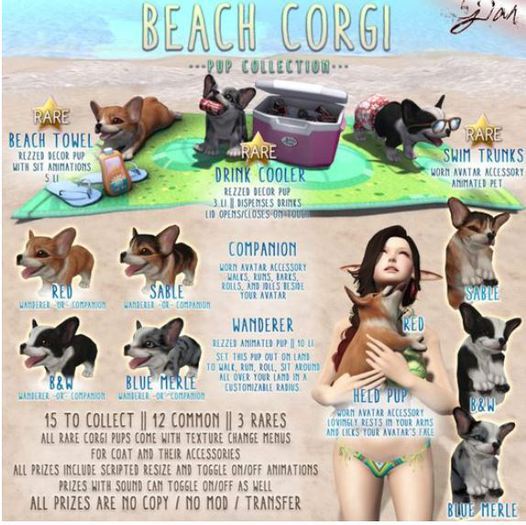 JIAN Beach Corgis BOX :: Swim Trunks RARE