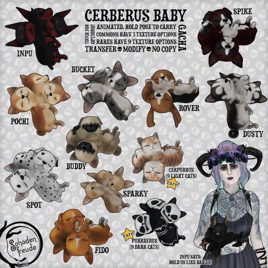 Schaedenfredue Cerberus Baby RARE