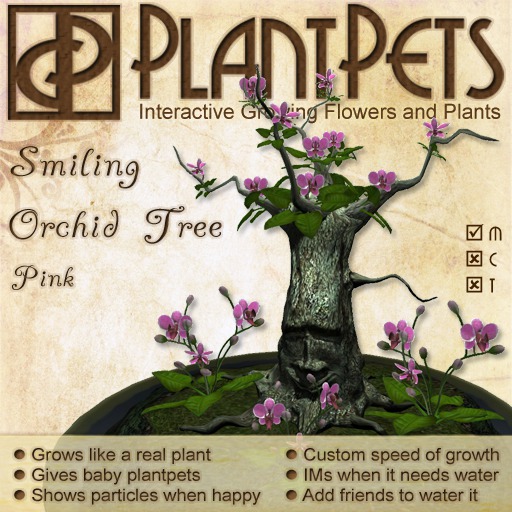 PlantPet Seed [Smiling Orchid Tree *Pink*]
