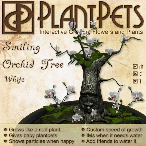 PlantPet Seed [Smiling Orchid Tree *White*]