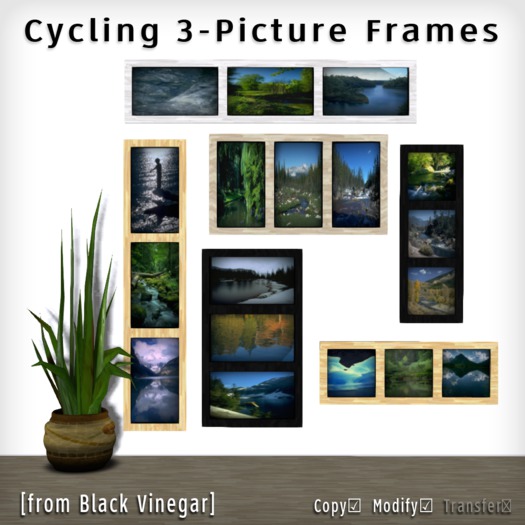 [BV] Cycling 3-Picture Frames (boxed)