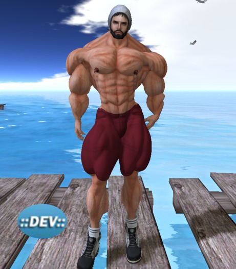 [D.Cavalieri] - Red Summer Shorts