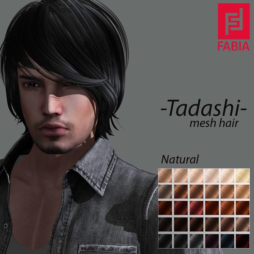 -FABIA-Mesh Hair <Tadashi> Natural Tones