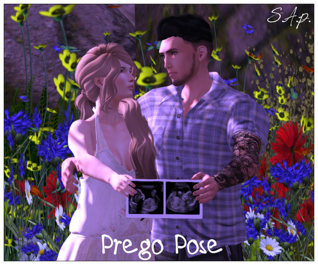 Prego Pose And Prop (boxed)