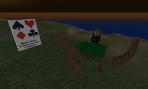 Bridge Game