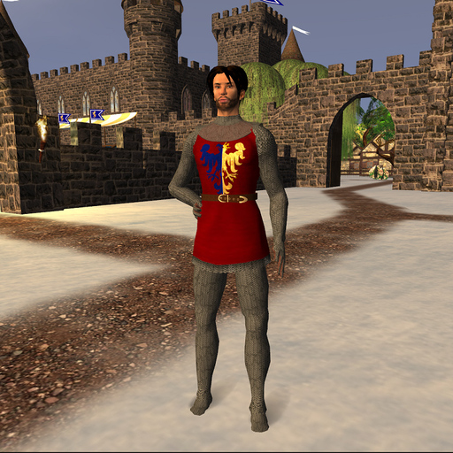 Medieval knight: Sir Tozenbach - basic set