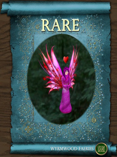 Rare Venus Faeries Box +