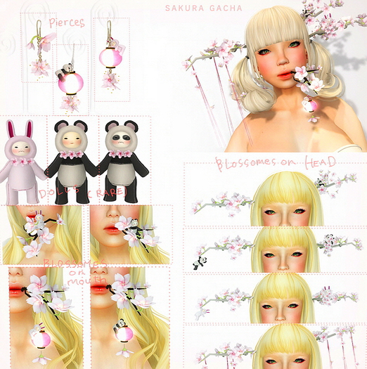 *N*SAKURA PANDA2 <BOX> - RARE