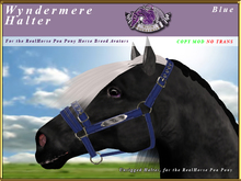 *E* Wyndermere Halter [BOXED] RH POA Pony Blue
