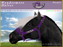*E* Wyndermere Halter [BOXED] RH POA Pony Purple