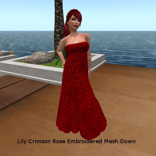 Lily Crimson Rose Embroidered Dress