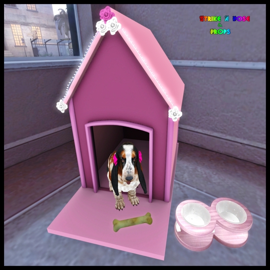 SAP Beige dog bone Trans only