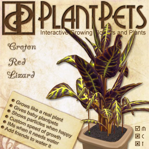 PlantPet Seed [Croton *Red Lizard*]