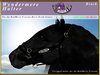 E rh friesian wyndermerehalter black