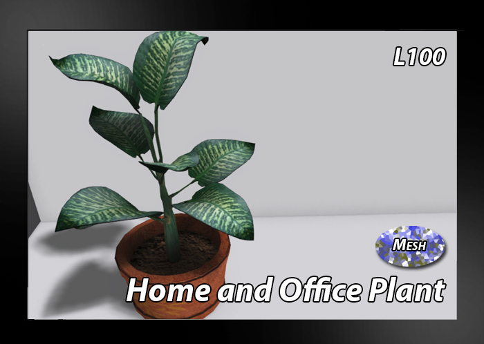 GBD Office Plant