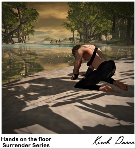 Hands on the floor - Surrender Series
