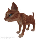 JIAN Curious Kitties :: Companion Org Tabby BOX [Gacha]