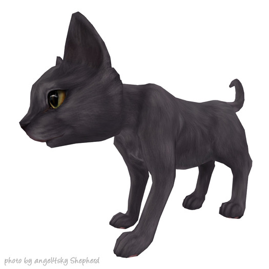 JIAN Curious Kitties :: Companion Russian Blue BOX