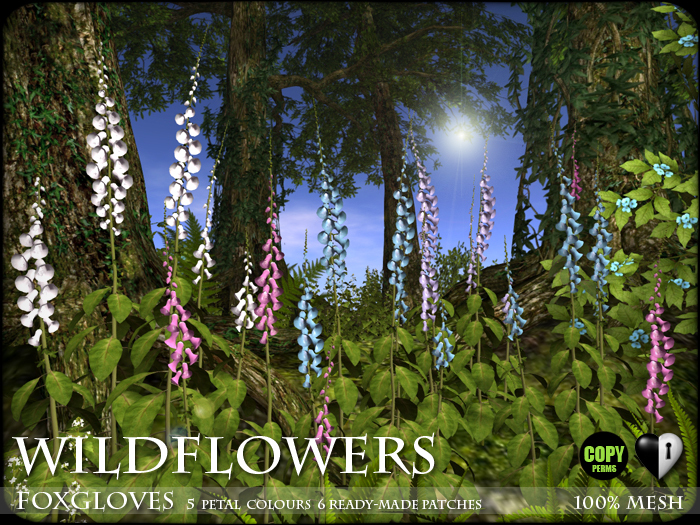 Heart - Wild Flowers - Foxgloves - V1
