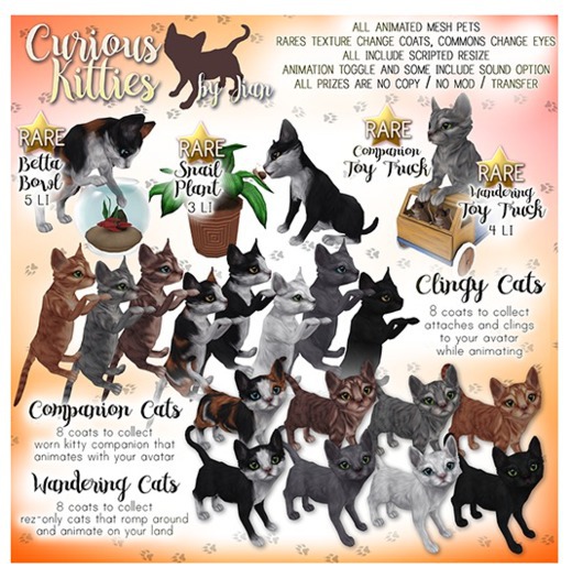 JIAN Curious Kitties :: Toy Truck Companion BOX RARE