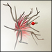 Wild rose vendor red