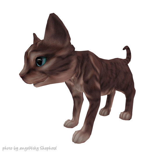 JIAN Curious Kitties :: Companion Bwn Tabby BOX [Gacha]