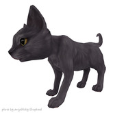 JIAN Curious Kitties :: Wander Russian Blue BOX