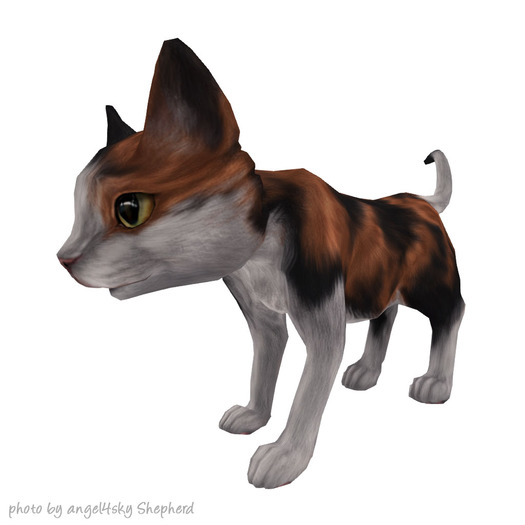 JIAN Curious Kitties :: Companion Calico BOX