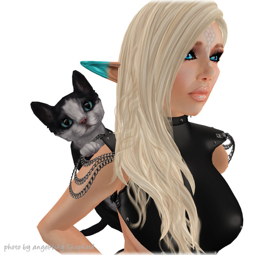 JIAN Curious Kitties :: Clinger Tuxedo BOX