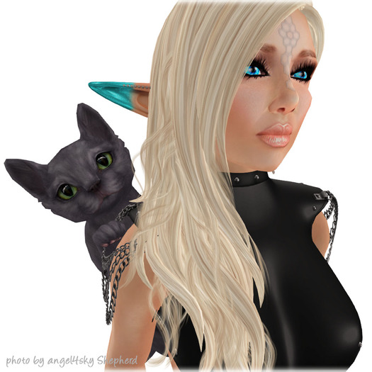 JIAN Curious Kitties :: Clinger Russian Blue BOX