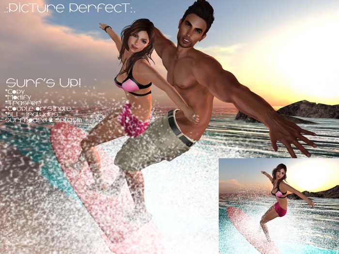.:Picture Perfect:. Couples Pose - Surf's Up!! (boxed)