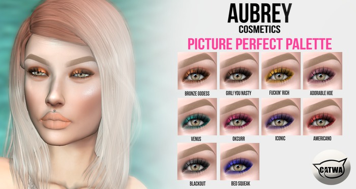 Aubrey Cosmetics // The Picture Perfect Eyeshadow Applier