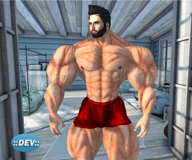 [D.Cavalieri] - Boxer Underwear Red