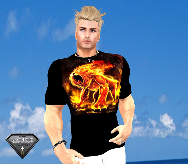 HD ~ Fire Lion Tshirt