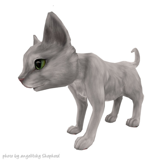 JIAN Curious Kitties :: Companion White BOX