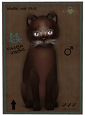 KittyCatS Box - Abyssinian - Dark Chocolate