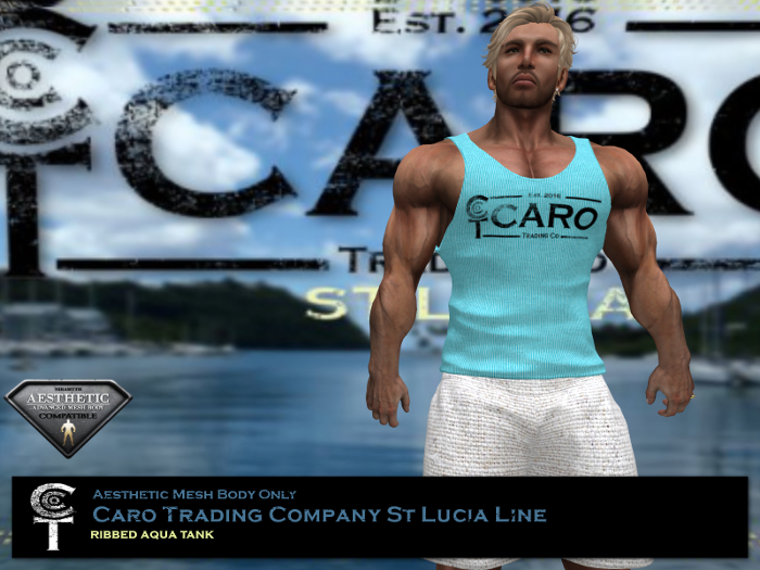 [B] *CTC* RIBBED AQUA TANK