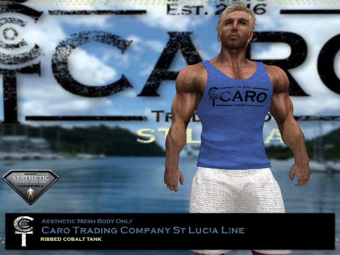 [B] *CTC* RIBBED COBALT TANK